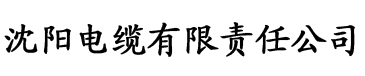 草莓视频在线草莓视频电缆厂logo